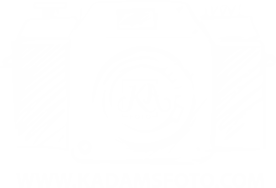kadamsfoto.com